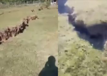 რა მდგომარეობაა ამ დროისთვის ხარაგაულის სოფლებში, სადაც მეწყრული პროცესები გააქტიურდა