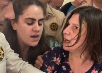 აქტივისტ ნინო დათაშვილის წინააღმდეგ შსს-ს სისხლის სამართლის საქმის წარმოება დაიწყო