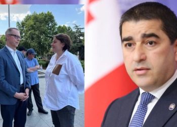 “ადამიანური თანაგრძნობაა მოშიმშილე პოლიტიკოსებთან საუბარი“ – ფიშერის პასუხი პაპუაშვილს