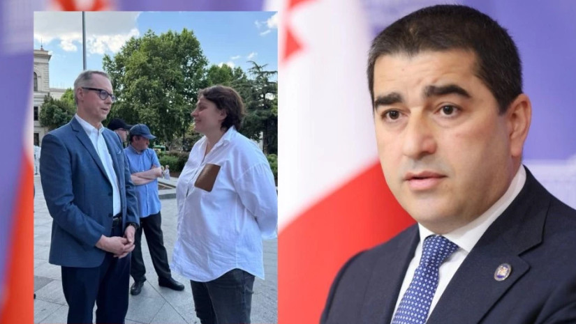 “ადამიანური თანაგრძნობაა მოშიმშილე პოლიტიკოსებთან საუბარი“ – ფიშერის პასუხი პაპუაშვილს