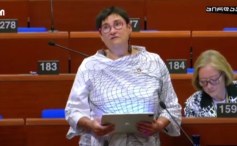 “მეტი ზეწოლა მოვახდინოთ, რათა ჩაატარონ ახალი არჩევნები”– პეტრა ბაირი ოცნების მთავრობაზე