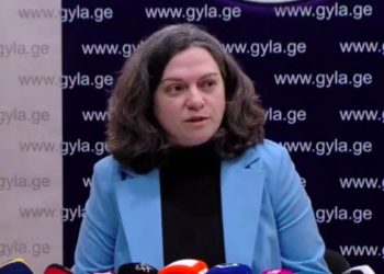 „სოციალურ ქსელებში გამოხატვის თავისუფლების შეზღუდვა სხვა ეტაპზე გადადის“ – ნონა ქურდოვანიძე