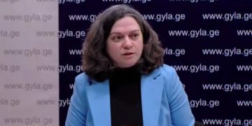 „სოციალურ ქსელებში გამოხატვის თავისუფლების შეზღუდვა სხვა ეტაპზე გადადის“ – ნონა ქურდოვანიძე