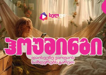 სელფი მობაილის ჰოუმინგი – დაისვენე WiFi-ის საზღვრებს გარეთ