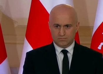 “სანქცია სახელად – გაუგებრობა” – დასანქცირებული თამაზაშვილის ლექსიკონი