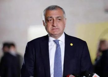 მამუკა ხაზარაძე თეა წულუკიანის კომისიაზე ისევ დაიბარეს