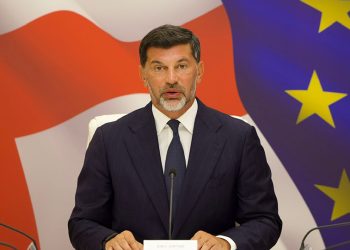 ზონალურ-საათობრივი პარკირებისთვის დამატებით 1 340 ადგილი გამოიყოფა – დეტალები