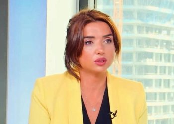 “გასაგებია რომ არჩევნებზე გასვლის “გაპრავება” გინდათ, მაგრამ…” – თეონა ცხომელიძე