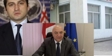 ,, ალეკო თავისი მანქანით შევარდა ჯეოჰოსპიტალის ეზოში… ხმამაღლა ყვიროდა ”ეს რა გამიკეთეო!“