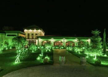 გორის სახელმწიფო უნივერსიტეტმა რესტორან „ვილა პარკს“ 7239 ლარი გადაუხადა ჩინოვნიკების სუფრისთვის