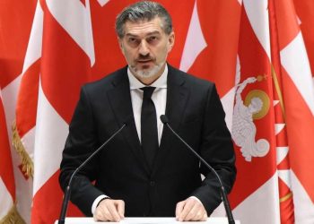 ,, მოვიდა აქ ბიძინა ივანიშვილის ცხენი, დასვეს აქ და არაფერს არ ეკითხებიან” – ყაველაშვილი