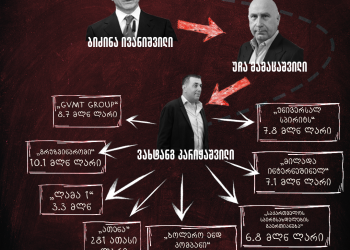 ვის ჯიბეში მიდის შენი ფული? – ბიძინა ივანიშვილის დეიდაშვილის ბიზნესპარტნიორმა სახელმწიფო ბიუჯეტიდან 56 მლნ ლარი მიიღო