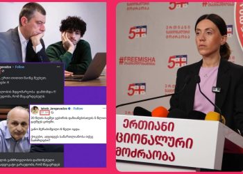 “2018 წელს ვანო მერაბიშვილს იცავს და ნაცებს გვეტენება” – ანა წითლიძე