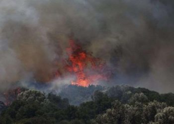 მასშტაბური ხანძარი თურქეთში – იზმირიდან 50 ათასი ადამიანის ევაკუაცია განხორციელდა