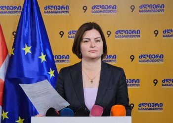 „დავტოვე ლელოს პოლიტიკური საბჭო“ – ანა ნაცვლიშვილი
