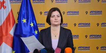 „დავტოვე ლელოს პოლიტიკური საბჭო“ – ანა ნაცვლიშვილი