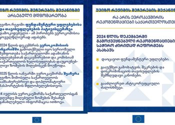 უვიზო რეჟიმის შეჩერების მექანიზმი – რას აქვეყნებს EU–ს წარმომადგენლობა საქართველოში