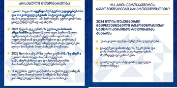 უვიზო რეჟიმის შეჩერების მექანიზმი – რას აქვეყნებს EU–ს წარმომადგენლობა საქართველოში