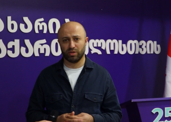 “კვერცხებთან ერთად დასრულდებით” – ბერდია სიჭინავა