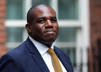 საქართველოს კორუფციულ ქმედებებს ყურადღებით გავეცნობი – ლემი