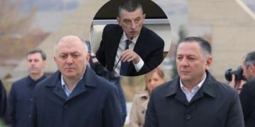 “უნდა დაიკითხოს გომელაური… მისი განცხადება სრული სიცრუეა” – დავით ქაცარავა