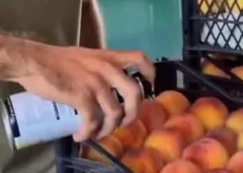 ატმის შეღებვის ფაქტზე იდენტიფიცირებულია გურჯაანში მცხოვრები – სეს