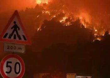 ცეცხლი დასახლებულ პუნქტებს მიუახლოვდა – რა ხდება თურქეთში