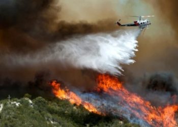 ტყის მასშტაბურ ხანძრებს რამდენიმე ქვეყანაში მსხვერპლი მოჰყვა