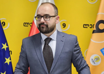 რასაც ახლა კობახიძის ადმინისტრაციის მხრიდან უყურებთ, ანტიკორუფციულობასთან არანაირ შემხებლობაში არ არის – გეგელია