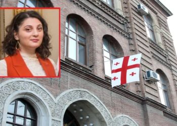 “მეც შევუერთდი სამსახურიდან დათხოვნილ მოხელეთა რიგებს” – არგენტინაში საელჩოს მრჩეველი ნინო ფიფია
