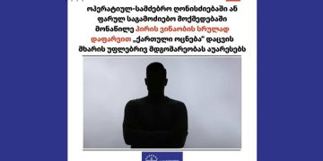 საია: საგამოძიებო მოქმედებაში მონაწილე პირის ვინაობის დაფარვით “ოცნება” დაცვის მხარის უფლებრივ მდგომარეობას აუარესებს