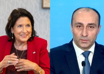 “როცა პოლიცია გადადის თავნებობაზე რიგით მოქალაქის მიმართ, კრიმინალები როცა თარეშობენ ქუჩებში…” – სალომე ზურაბიშვილი