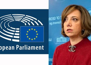 “და მერე? ბრძოლის რომელი გზაა სწორი, ეს პარტიის სუბიექტური გადაწყვეტილებაა” – სამადაშვილი ევროპარლამენტის რეზოლუციაზე