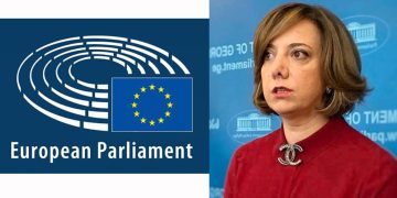 “და მერე? ბრძოლის რომელი გზაა სწორი, ეს პარტიის სუბიექტური გადაწყვეტილებაა” – სამადაშვილი ევროპარლამენტის რეზოლუციაზე