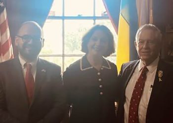 რაზე შეუთანხმდა სამადაშვილი “ჯო ვილსონს”?