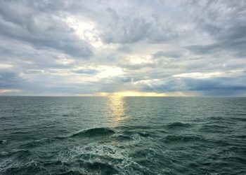 როგორია შავი ზღვის წყლის ხარისხი – გარემოს ეროვნული სააგენტო ინფორმაციას ავრცელებს