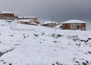 თურქეთის ჩრდილო-აღმოსავლეთ ნაწილში თოვლი მოვიდა