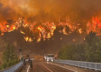 თურქეთში, ტყის ხანძრების შედეგად გარდაცვლილების რიცხვი 17-მდე გაიზარდა