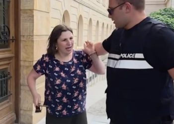 ნინო დათაშვილის პროცესს გერმანიის, დანიის, ნიდერლანდებისა და EU-ს საელჩოს წარმომადგენლები ესწრებიან