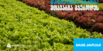 „გრინ კროპს დისტრიბუშენი” – სასათბურე მეურნეობა, რომელიც თიბისი ბიზნესის მხარდაჭერით განვითარდა