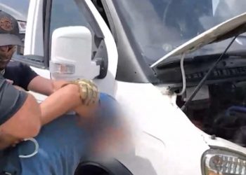 ФСБ: უკრაინა ყირიმის ხიდზე ტერაქტს გეგმავდა, ბომბი საქართველოს გავლით შეიტანეს