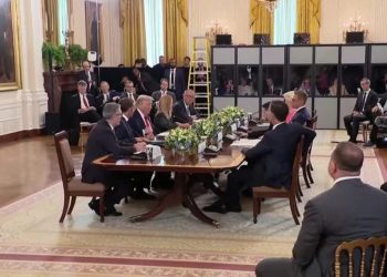 ტრამპი და ზელენსკი ევროპელ ლიდერებს ხვდებიან