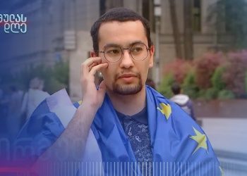 ,, ბატონო ელჩო, მოგმართავთ თხოვნით, დაარწმუნოთ ევროპელი ლიდერები, არ გაგვიუქმონ ვიზალიბერალიზაცია და არ გაგვაძევონ ევროსაბჭოდან” – ზვიად ცეცხლაძის წერილი