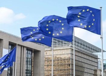 ევროსაბჭოს დასკვნა “ოცნების” ფარაზე” და ზიანი, რომელსაც ის ქვეყანას მიაყენებს