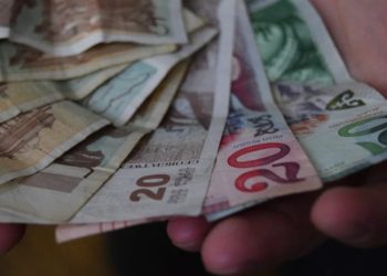 საარსებო შემწეობის მიმღებთა რიცხვი ივლისშიც გაიზარდა – რამდენი ადამიანი იღებს დახმარებას?