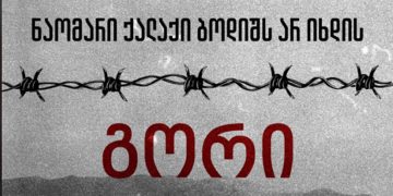 პროტესტი გორში – დეტალები