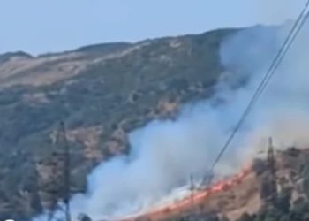 ავჭალაში ხანძარია (ვიდეო)