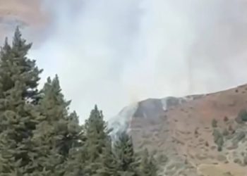 თუშეთში ხანძარია – ცეცხლი სწრაფად ვრცელდება