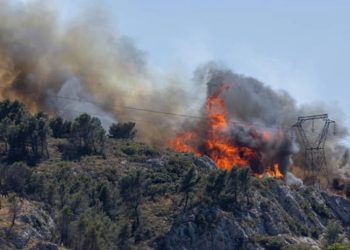 მასშტაბურმა ხანძარმა საფრანგეთის სამხრეთით 16 ათასი ჰექტარი ტყე გაანადგურა
