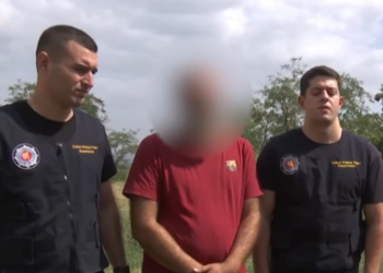 საგარეჯოში სახლიდან 33 ძირი კანაფი ამოიღეს – დაკავებულია წარსულში ნასამართლევი პირი